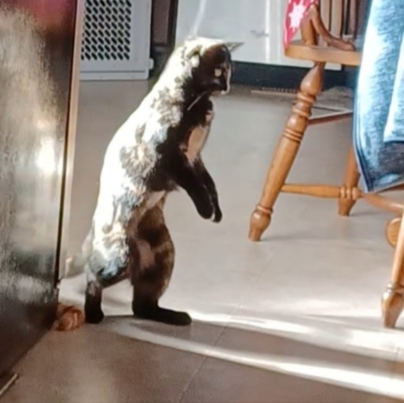 Melissa 🌟Posh Ambassador!🌟 - Picture 10 of 16